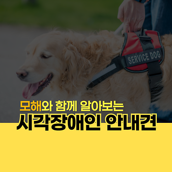 [2020학년도 12월] 12월 모해 카드뉴스 이미지